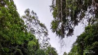 Terdapat bebatuan di sekitaran Air Terjun