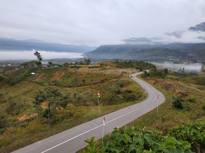 jalan trans papua