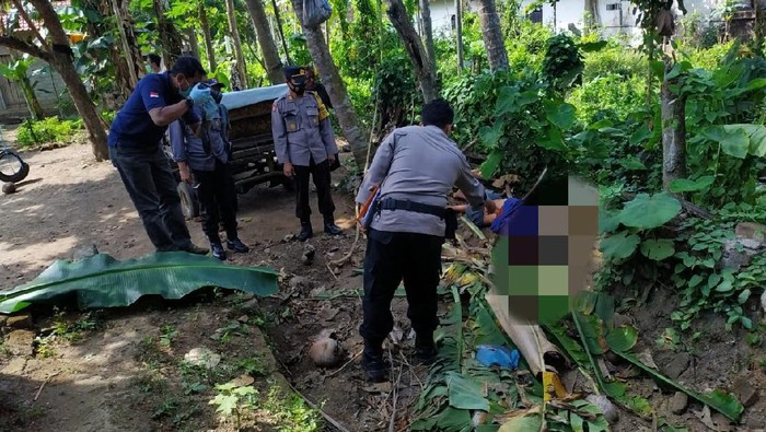 Kasihan, Manula Tewas Terjatuh Saat Memetik Buah Kelapa