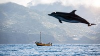 Selain pemandangan yang menawan, Madeira menawarkan cuaca yang selalu hangat dan anggur serta malam kembang api yang istimewa sampai tercatat dalam Guinness World Record. (Getty Images/iStock)