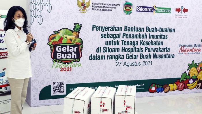 Paket Buah Untuk Tenaga Kesehatan PT East West Seed Indonesia (EWINDO) menyalurkan 400 paket buah yang terdiri dari melon ALINA F1 dan semangka GARNIS F1 yang merupakan buah dengan nutrisi tinggi sebagai wujud dukungan EWINDO terhadap Gelar Buah Nusantara (GBN) ke-6 sekaligus dukungan kepada tenaga kesehatan yang merupakan garda terdepan dalam upaya melawan pandemi Covid-19.
