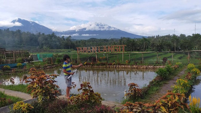 pariwisata di banyuwangi