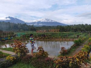Banyuwangi Buka Wisata Pekan Depan, Rancang Aplikasi Mirip Peduli Lindungi