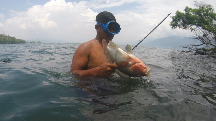 Seorang nelayan mencari ikan untuk dipanah di Danau Singkarak, Nagari Sumpu, Kabupaten Tanah Datar, Sumatera Barat, Sabtu (28/8/2021). Pekerjaan memanah ikan tersebut dilakukan sejumlah nelayan di tepian danau itu dan hasil tangkapannya dijual Rp25 ribu per kilogram. ANTARA FOTO/Iggoy el Fitra/wsj.