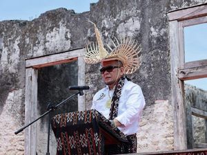 Ketua DPD Minta Budidaya Sorgum Pengganti Beras Dilestarikan
