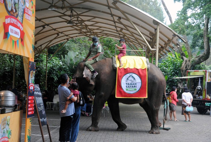 Taman Safari Indonesia Bogor kembali dibuka untuk wisatawan. Meski begitu kawasan wisata itu dibuka secara terbatas karena Bogor masih terapkan PPKM level 3.