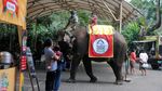 Bogor PPKM Level 3, Taman Safari Dibuka Secara Terbatas