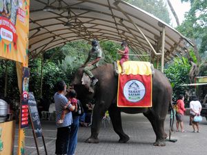 Hari Kedua Lebaran, Taman Safari Kembali Diserbu