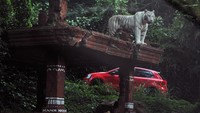 Meski telah kembali dibuka, kunjungan wisatawan dibatasi hanya pada wahana Safari Journey dan presentasi edukasi satwa yang sifatnya terbuka.