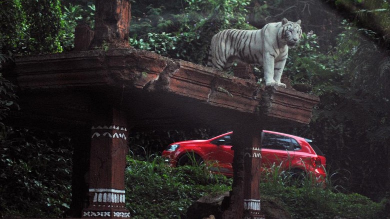 Bogor PPKM Level 3, Taman Safari Dibuka Secara Terbatas Taman Safari Indonesia Bogor kembali dibuka untuk wisatawan. Meski begitu kawasan wisata itu dibuka secara terbatas karena Bogor masih terapkan PPKM level 3.