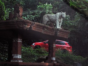 5 Destinasi Buat Liburan Aman Corona di Bogor