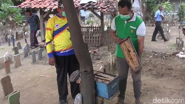Budi daya madu di areal pemakaman di Kota Tegal, Minggu (29/8/2021).