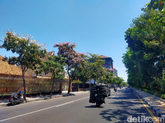 Bunga tabebuya di sejumlah jalan di Surabaya mulai bermekaran. Mekarnya bunga tabebuya membuat Kota Surabaya semakin indah.