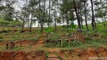 Desa Wisata Gerduren yang Nangis Darah Sepi Saat PPKM