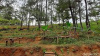 Pasar wisata kuliner merupakan bagian dari Desa Wisata Gerduren atau Wisata Pertapan. Desa wisata tersebut berdiri di lahan milik Perhutani KPH Banyumas Timur (Arbi Anugrah/detikcom)