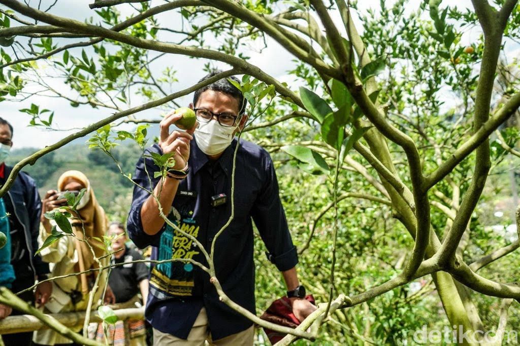 Sandiaga Uno di Desa Saribu Gonjong Sumbar
