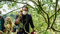 Selain memiliki desa wisata adat, salah satu komoditas utama yang menjadi sumber ekonomi warga ada pada sektor perkebunan, khususnya perkebunan Jeruk Siam Gunuang Omeh yang khas. Hampir di setiap rumah penduduk di Sarugo punya kebun jeruk. (Jeka Kampai/detikTravel)