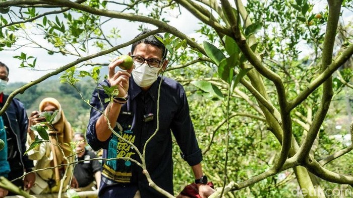 Sandiaga Uno di Desa Saribu Gonjong Sumbar
