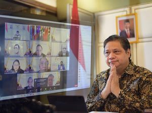 Airlangga Dorong Industri Kelapa Digenjot Pakai Teknologi