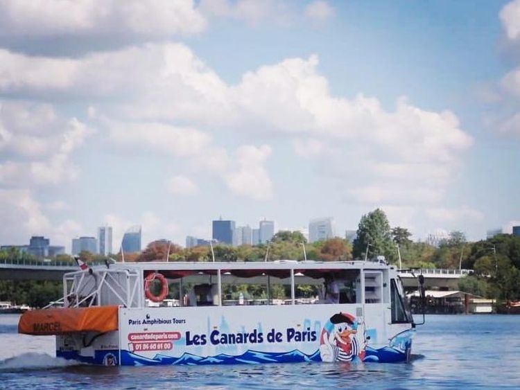 Bebek Paris, Bisa Jalan-Jalan di Kota dan Mengapung di Air