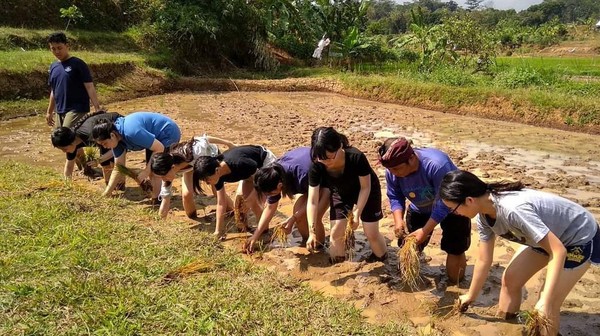 Desa wisata Kandri berada tak jauh dari wisata Goa Kreo yang sudah terkenal sejak dulu. Kegiatan wisata di desa tersebut yang bisa dilakukan sangat beraragam seperti belajar bertani dengan menanam padi langsung di sawah. (Instagram/@desawisatakandri) Desa wisata Kandri berada tak jauh dari wisata Goa Kreo yang sudah terkenal sejak dulu. Kegiatan wisata di desa tersebut yang bisa dilakukan sangat beraragam seperti belajar bertani dengan menanam padi langsung di sawah. (Instagram/@desawisatakandri)
