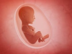 Apakah Bayi dalam Kandungan Wajib Zakat Fitrah? Ini Ketentuannya