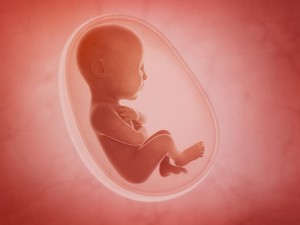 Penelitian Membuktikan Bayi Mengenal Bahasa Sejak dalam Kandungan