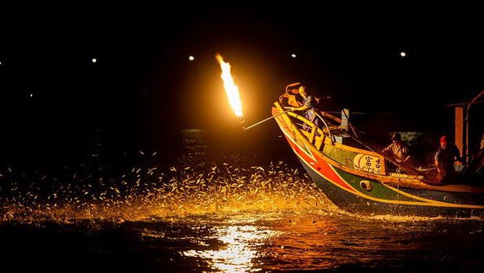 Kiat Nelayan Taiwan Tangkap Ikan Dengan Kobaran Api KEELUNG, TAIWAN - AUGUST 20: Fishermen use fire to attract fish on a traditional sulfuric fire fishing