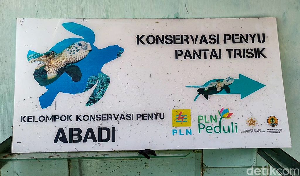 Kondisi tempat konservasi penyu abadi Trisik yang terancam abrasi, Senin (30/8/2021).