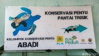 Tempat konservasi penyu di Pantai Trisik, Kapanewon Galur, Kulon Progo, DIY, terancam rusak oleh abrasi. Saat ini jarak antara lokasi konservasi dengan bibir pantai hanya tinggal berkisar 5 meter. (Jalu Rahman Dewantara/detikTravel)