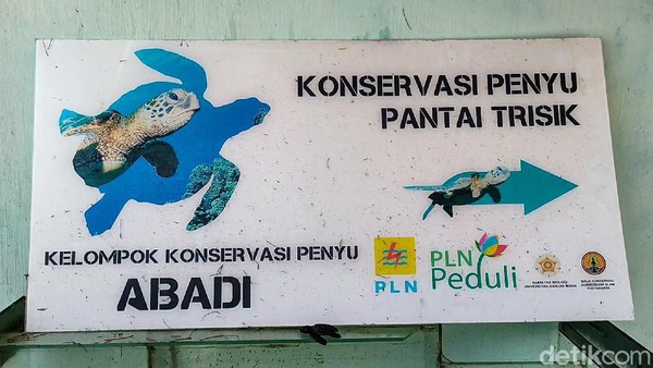 Tempat konservasi penyu di Pantai Trisik, Kapanewon Galur, Kulon Progo, DIY, terancam rusak oleh abrasi. Saat ini jarak antara lokasi konservasi dengan bibir pantai hanya tinggal berkisar 5 meter. (Jalu Rahman Dewantara/detikTravel)