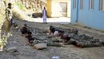 Pasukan Ahmad Massoud Latihan Fisik, Siap Perang Lawan Taliban