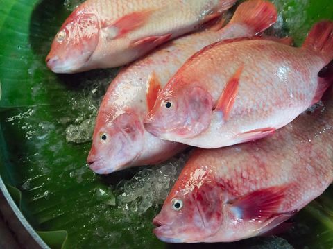 Resep Ikan Kuah Kuning