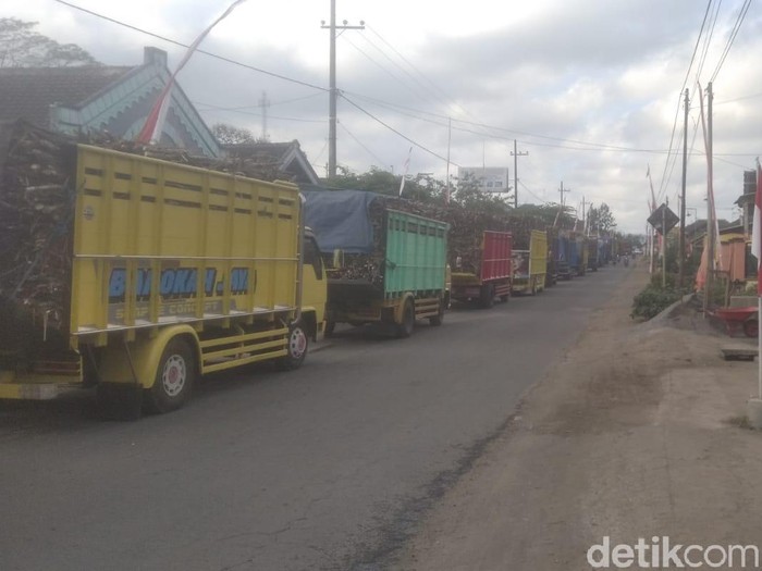 Ratusan truk pengangkut tebu tertahan di sepanjang jalan menuju pabrik gula Rejoso Manis Indo (RMI). Warga sekitar pabrik mengadang truk-truk itu karena pabrik melanggar komitmen yang dibuat sebelum musim giling tiba.