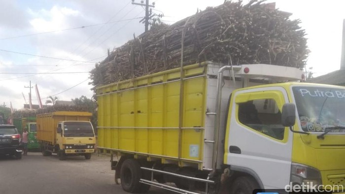 Ratusan truk pengangkut tebu tertahan di sepanjang jalan menuju pabrik gula Rejoso Manis Indo (RMI). Warga sekitar pabrik mengadang truk-truk itu karena pabrik melanggar komitmen yang dibuat sebelum musim giling tiba.