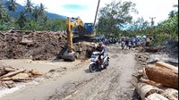 Gelondongan kayu dari hulu tampak berserakan di Dusun 1 Desa Rogo.