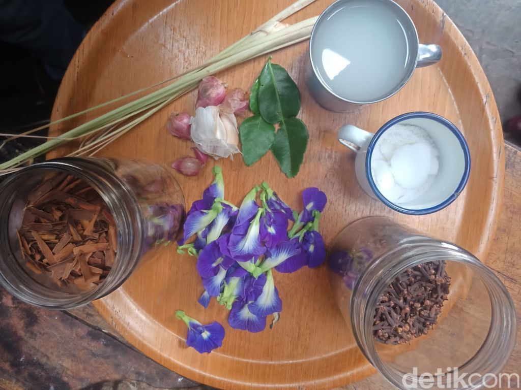 Biru Cantik! Nasi Bunga Telang yang Kaya Khasiat Bisa Dinikmati di Jombang