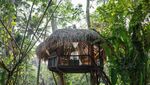 5 Spot Glamping yang Ngehits