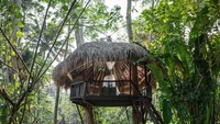 Buat kamu yang ingin glamping dengan nuansa alam indah khas Bali, cobalah glamping di Bali Dacha. Dikelilingi pepohonan yang rindang, atmosfer ini tentunya akan membuat kamu merasakan ketenangan (dok Bali Dacha)