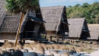Camping di tengah hutan mungkin sudah biasa, namun bagaimana dengan camping di pinggir pantai? Jeeva Beloam Beach Camp di Lombok, Nusa Tenggara Barat menghadirkan pengalaman camping di pinggir pantai dengan pemandangan Pulau Sumbawa dan Hutan Sengon. Berbeda dari tempat lainnya, Jeeva Beloam Beach Camp hanya memiliki 11 cottages dengan desain rumah tradisional khas NTB, yang membuat kamu merasa seperti liburan di pulau pribadi. (dok Instagram/jeevabeloambeachcamp).