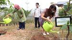 Greenhouse Jadi Zona Pembelajaran Siswa