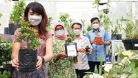 Evelyn Indriani, Head of Corporate Relation and Communications, PT. Suntory Garuda Beverage; Cicilia Sulastri, SH., M.Sc,  Kepala Pusat Pelatihan Masyarakat dan Pengembangan Generasi Lingkungan, Kementerian Lingkungan Hidup dan Kehutanan Republik Indonesia; Subekhi, Kepala Sekolah SDN Wijaya Kusuma 05; dan Sigit Wibisono, CSR and Sustainability Manager, Suntory Garuda Beverage - di dalam Fasilitas Greenhouse saat merayakan Pekan Air Dunia 2021.