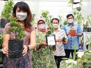 Greenhouse Jadi Zona Pembelajaran Siswa
