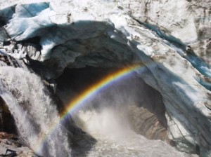 Fosil dari Jantung Greenland Ungkap Ancaman Naiknya Permukaan Laut
