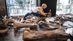 Fosil Dinosaurus Berusia 66 Juta Tahun Bakal Dilelang, Berapa Nilainya ?