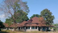 Sayangnya pabrik yang terletak di kawasan Delanggu, Kabupaten Klaten, Jawa Tengah, itu kini tinggal tersisa bangunan-bangunan tua yang lapuk dimakan jaman. Salah satu pabrik gula (PG) inilah yang dibangun kolonial Belanda.
