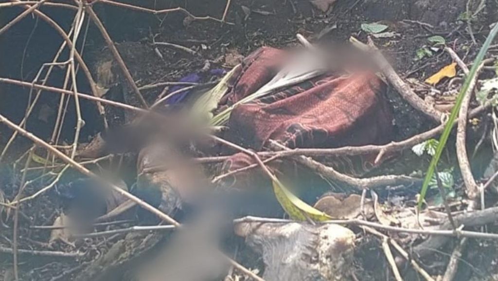 Kerangka Manusia Ditemukan di Hutan Lindung Perhutani Licin, Banyuwangi
