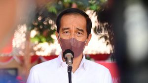 Jokowi Bakal Ajak Pemimpin G20 ke Hutan Mangrove Bali: Kita Serius soal Iklim