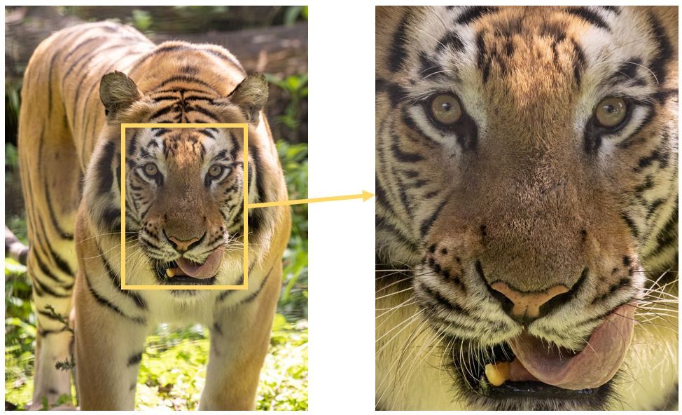 review lensa telefoto Tamron 150-500mm di kamera mirrorless sony