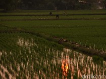 Prakiraan Cuaca Bandung Senin, 8 Desember 2025: Berawan